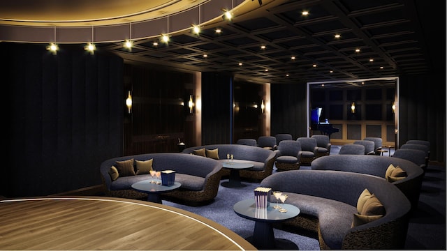 cinema featuring wood finished floors