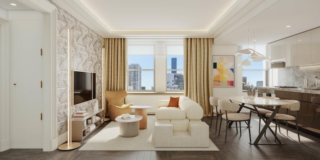 living area with a raised ceiling