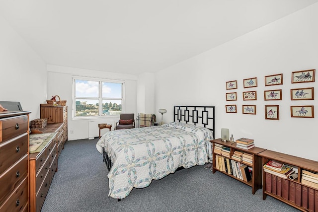 bedroom featuring dark colored carpet