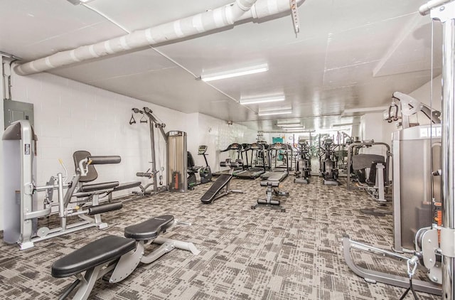 exercise room with carpet flooring