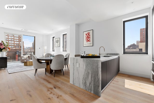 dining space with light hardwood / wood-style floors and sink