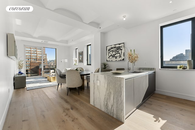 kitchen with a fireplace, light hardwood / wood-style floors, and sink