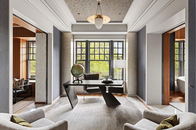 office area featuring a tray ceiling and wood finished floors