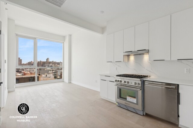 139 Bowery Unit 8C, New York City, NY 10002 - kitchen with stainless steel appliances, under cabinet range hood, tasteful backsplash, white cabinetry, and light countertops