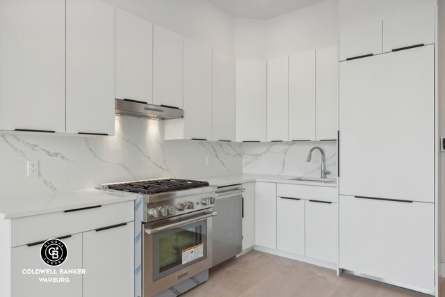 139 Bowery Unit 8C, New York City, NY 10002 - kitchen featuring a sink, appliances with stainless steel finishes, under cabinet range hood, and light countertops