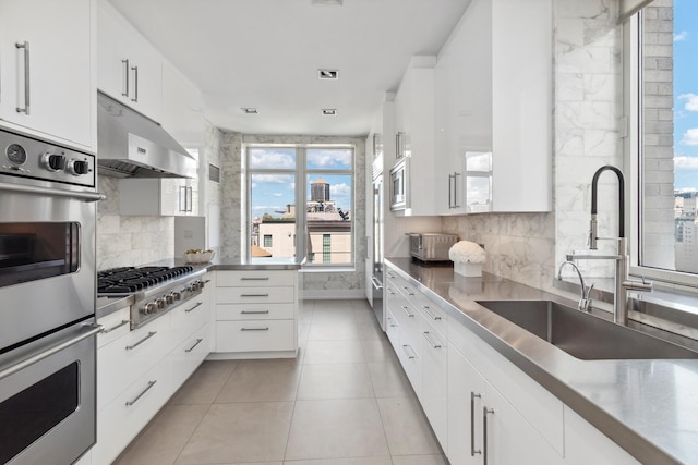 kitchen featuring appliances with stainless steel finishes, white cabinetry, a sink, and under cabinet range hood