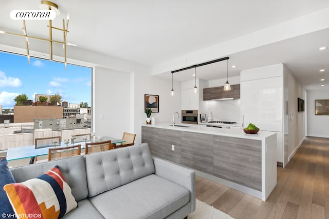 living room featuring light hardwood / wood-style flooring and sink