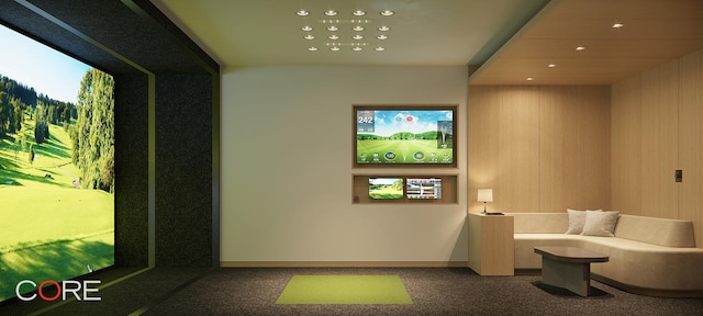 carpeted cinema room featuring golf simulator