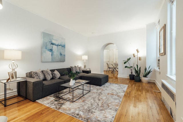 living room with hardwood / wood-style flooring and radiator heating unit