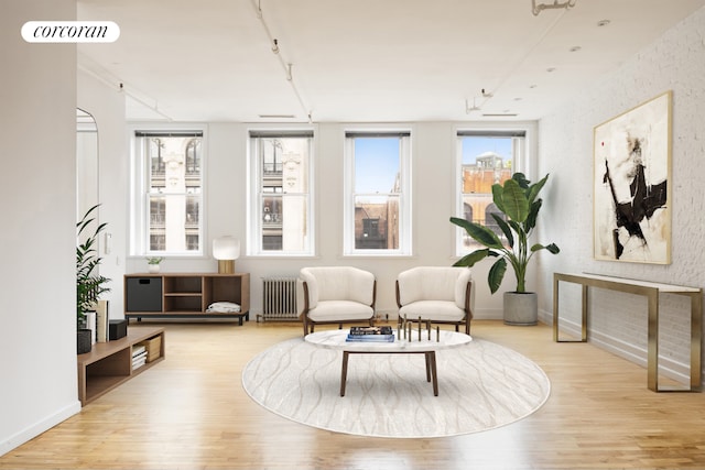 living area with light hardwood / wood-style floors, rail lighting, and radiator heating unit