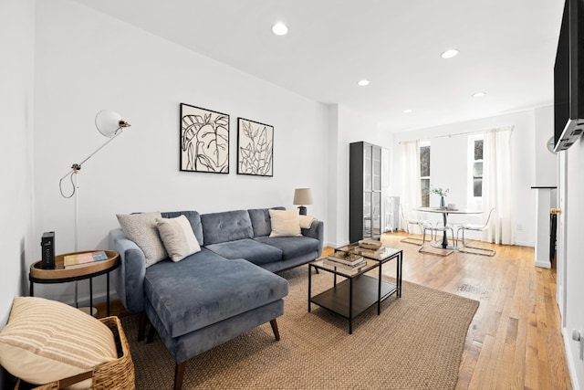 living room featuring light hardwood / wood-style floors