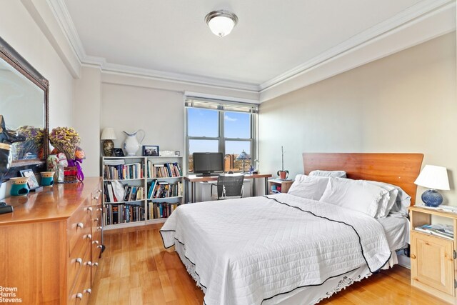 office area with crown molding and light hardwood / wood-style flooring