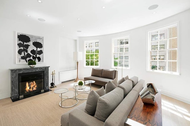 living room with a premium fireplace and light wood-type flooring