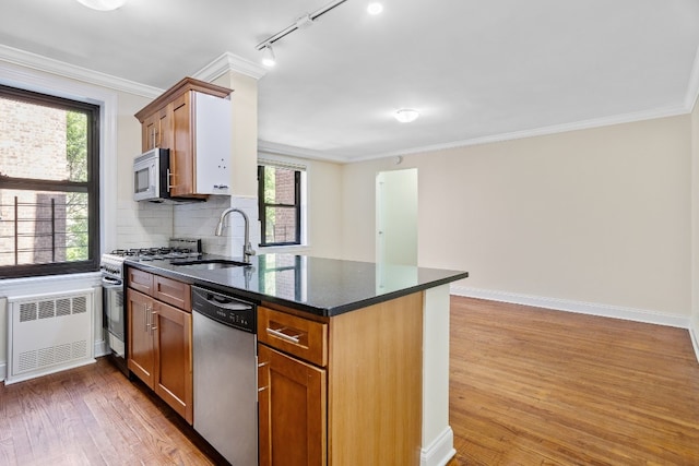 kitchen featuring appliances with stainless steel finishes, sink, radiator heating unit, and ornamental molding