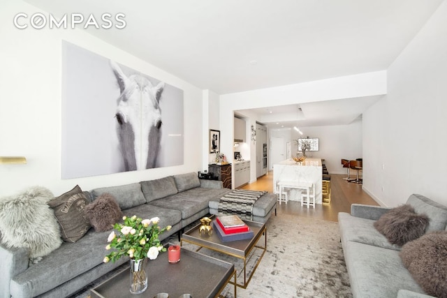 living room featuring wood-type flooring