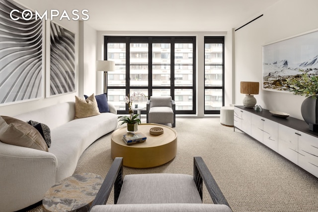 carpeted living area featuring expansive windows