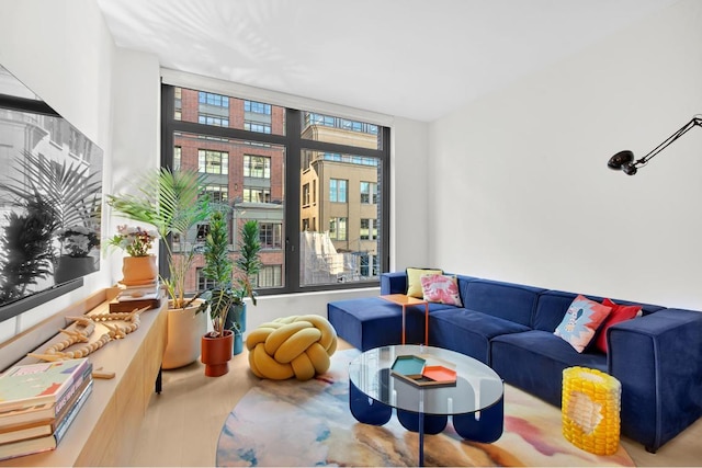 living room with hardwood / wood-style floors