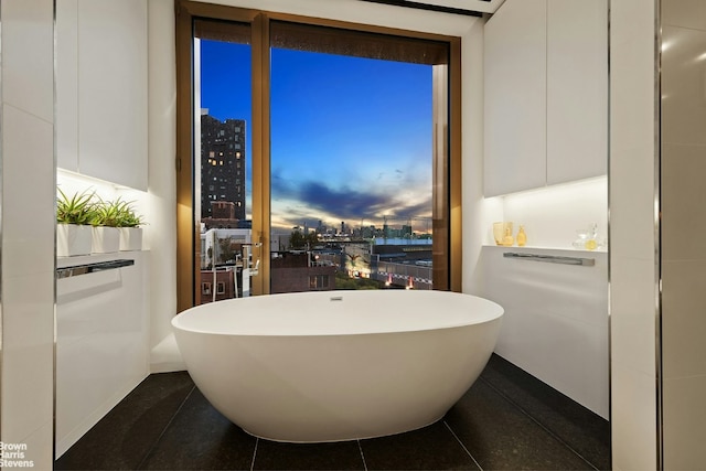 bathroom with a wall of windows and a washtub