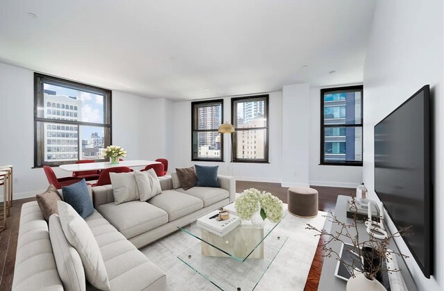 living room featuring hardwood / wood-style flooring