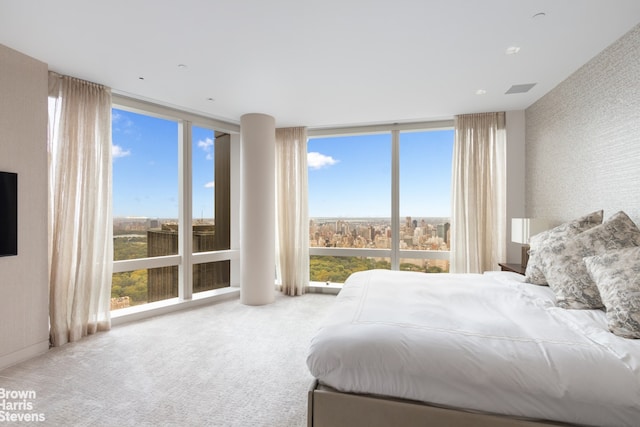 carpeted bedroom with a wall of windows and multiple windows