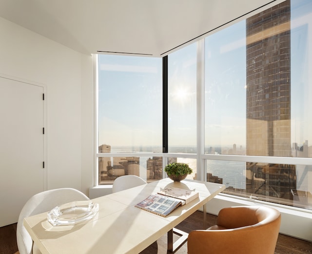 dining area with expansive windows, a city view, and wood finished floors