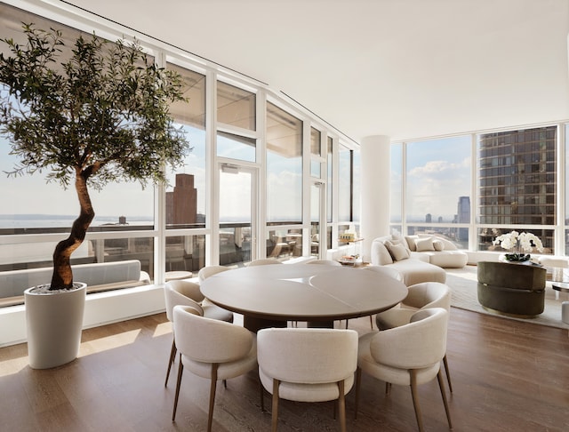 dining room featuring a wall of windows, wood finished floors, and a city view