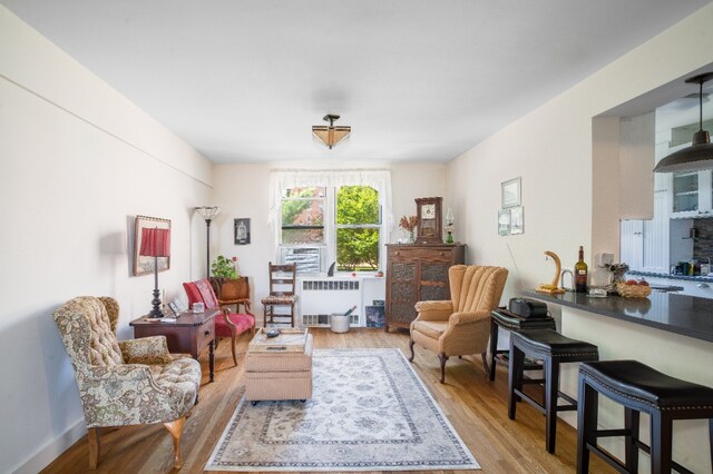 5650 Netherland Ave Unit 1A, New York City, NY 10471 - sitting room with light wood finished floors and radiator heating unit