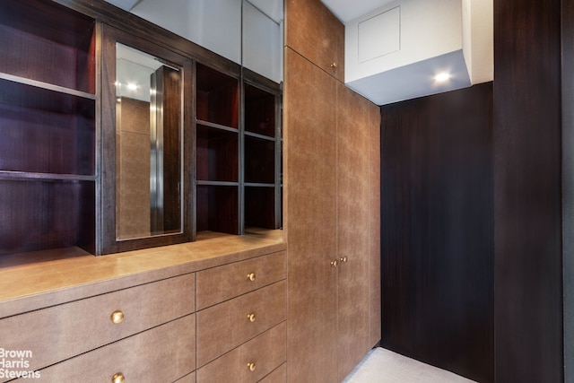 60 Sutton Pl S Unit Ph19S, New York City, NY 10022 - view of closet