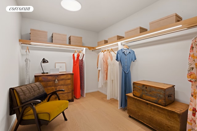 walk in closet with light wood-type flooring