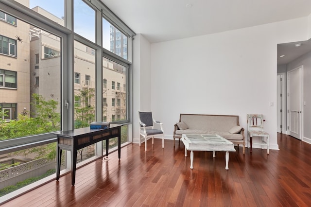 living area featuring hardwood / wood-style floors and expansive windows