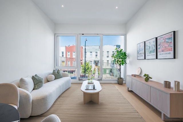 living room featuring light hardwood / wood-style floors and plenty of natural light