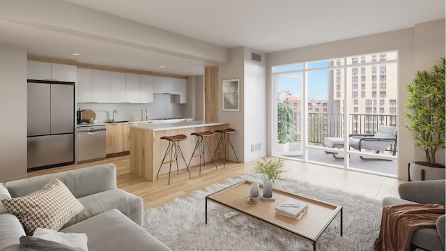 living room featuring light hardwood / wood-style flooring and sink