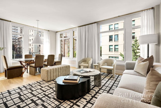 living room featuring light hardwood / wood-style floors