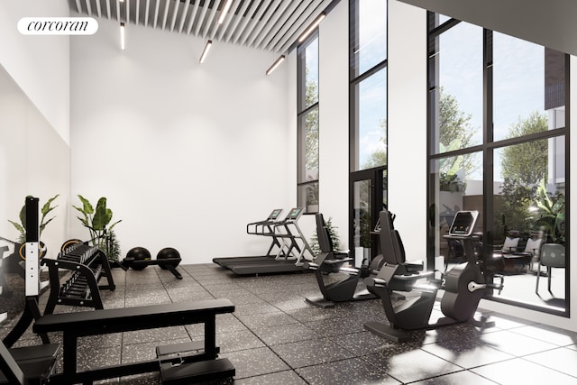 exercise room with expansive windows and a towering ceiling