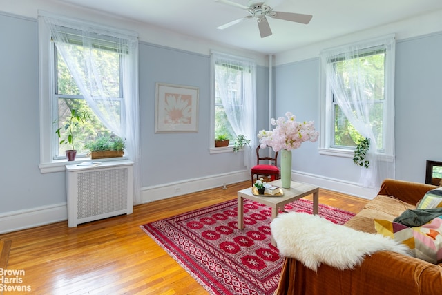 sitting room featuring ceiling fan, radiator heating unit, and light wood-type flooring