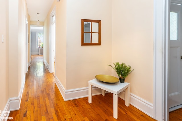 hallway featuring hardwood / wood-style flooring