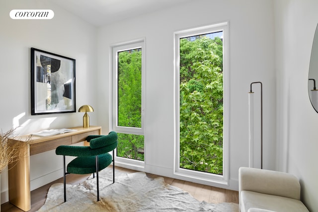 office featuring wood finished floors