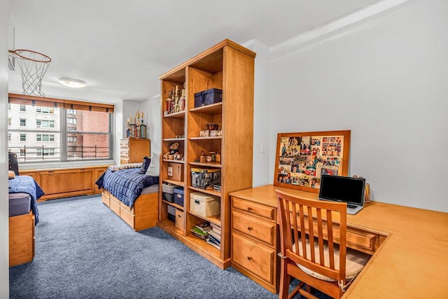 bedroom featuring a baseboard radiator and carpet flooring