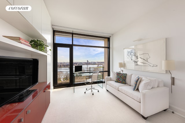 carpeted living room with expansive windows