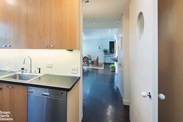 kitchen with a sink, baseboards, dark wood-type flooring, and stainless steel dishwasher