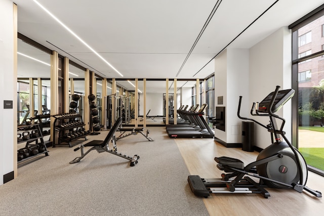 workout area with floor to ceiling windows and hardwood / wood-style floors