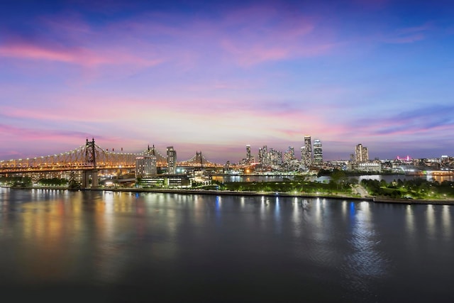 property view of water featuring a view of city