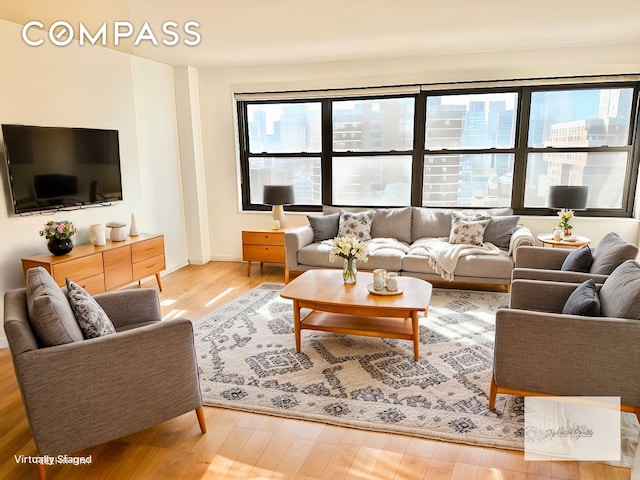 living room featuring wood finished floors