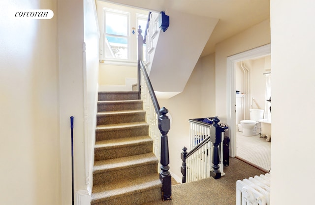 staircase featuring carpet