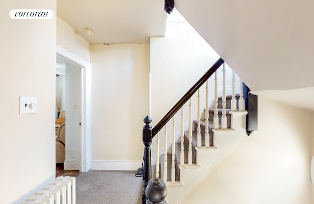 stairway featuring radiator and carpet