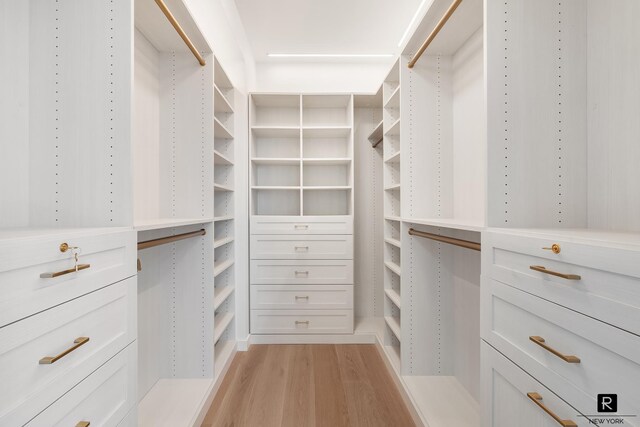 spacious closet with light wood finished floors