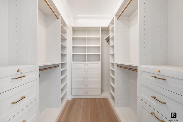 walk in closet featuring light wood-type flooring