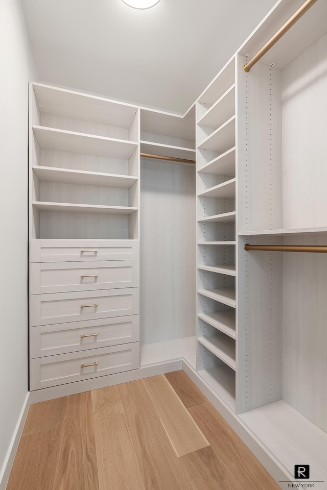 walk in closet with light wood-style floors