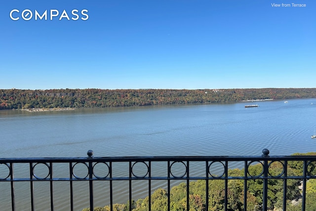 water view featuring a view of trees