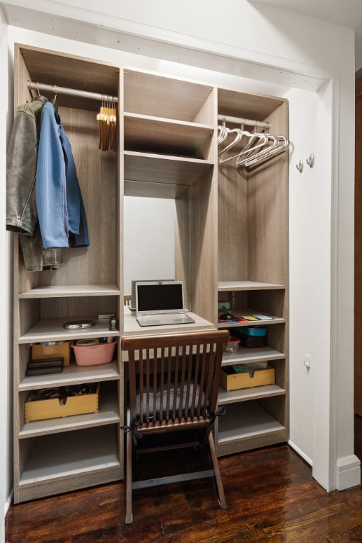 view of closet